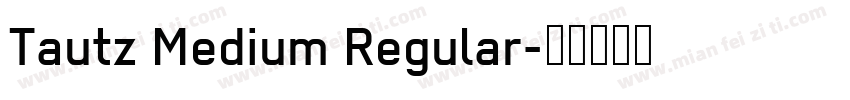 Tautz Medium Regular字体转换